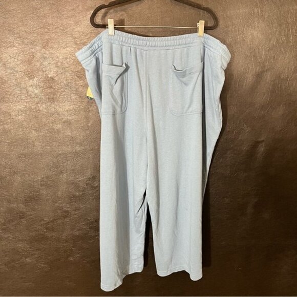 Terra & Sky Pale Blue Capris Size 3X - Picture 2 of 8